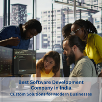 Best Software Development Company in India