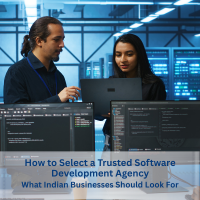 Reliable Software Development Agency in India