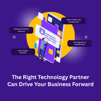 Custom Software Development
