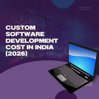 Custom Software Development Cost in India